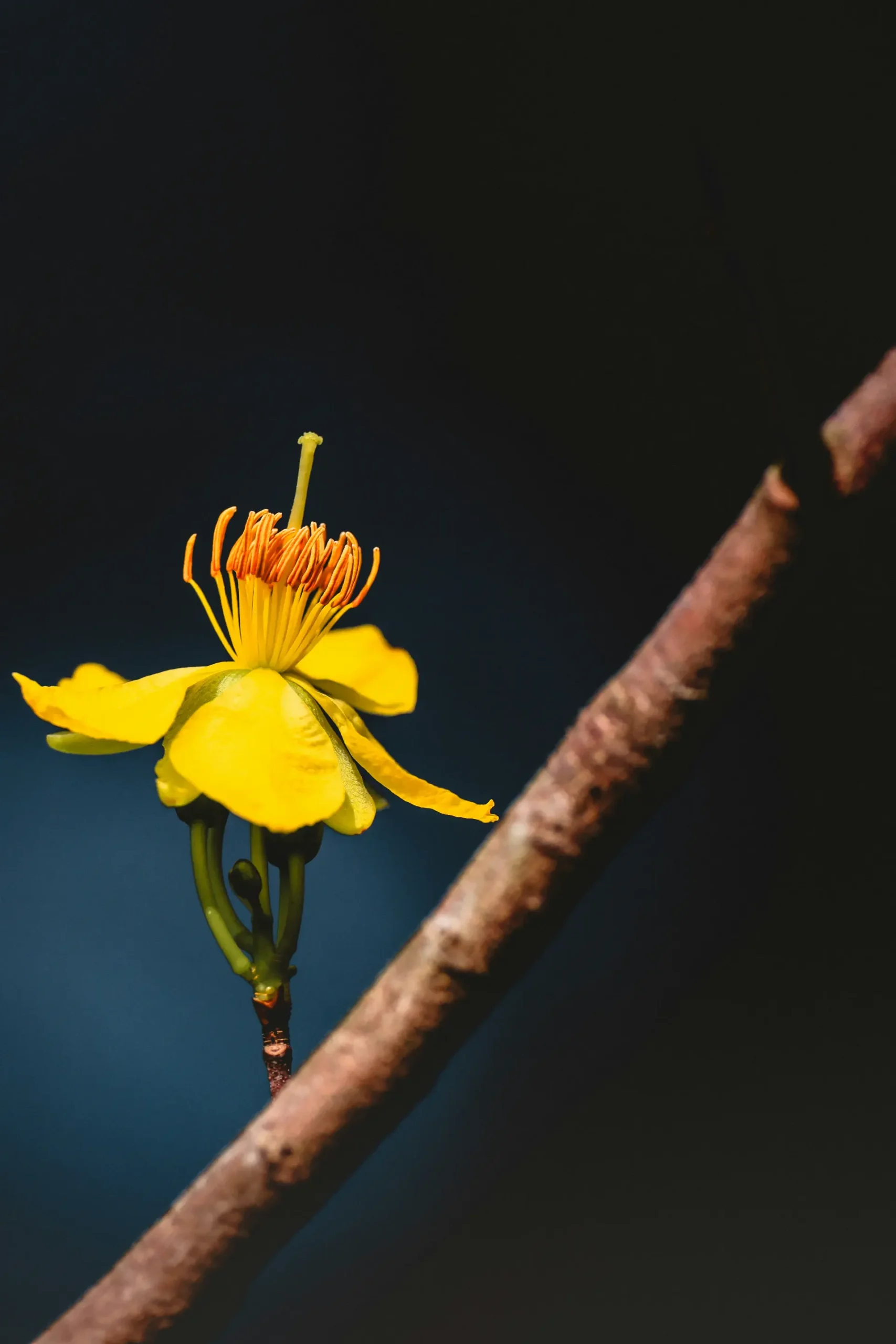 Signs Your Inner Child Is Wounded (And How It Affects You Today)